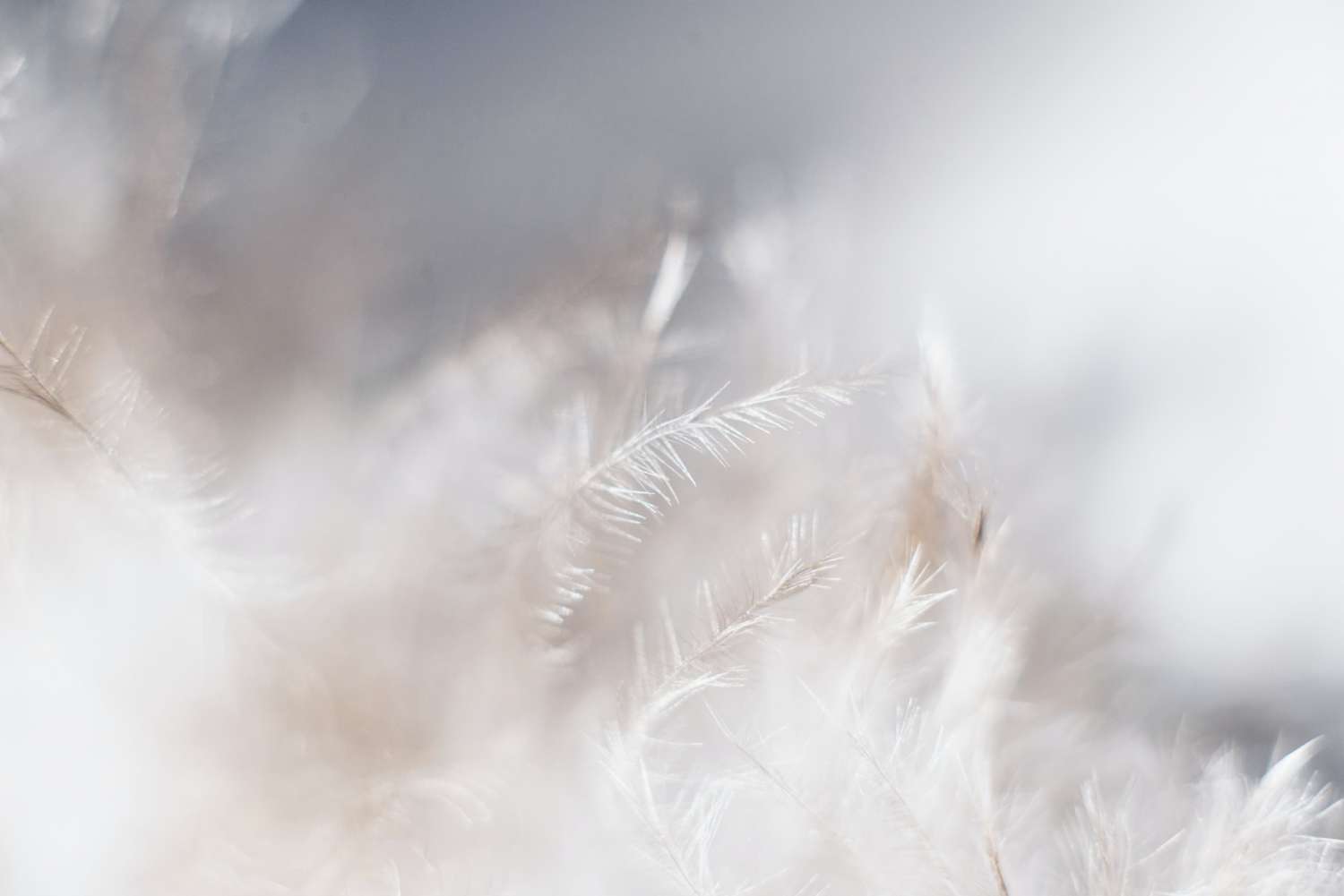 Over ons Infinite Zen - Kriebelmassage