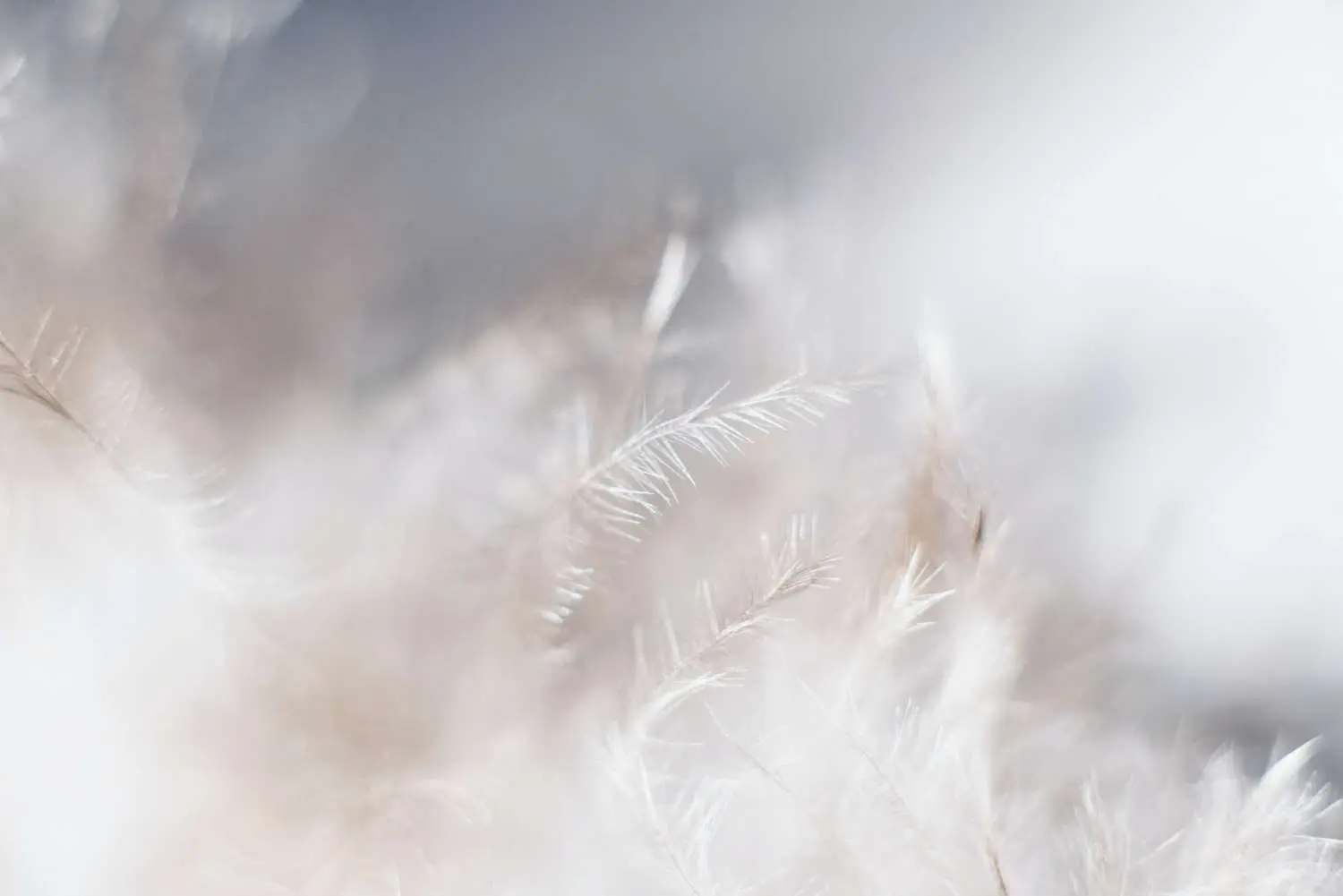 Massage Sneek | Massage Friesland | Infinite Zen Beste massage van Nederland Infinite Zen